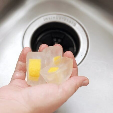 Holding Ice Putting Ice In Garbage Disposal
